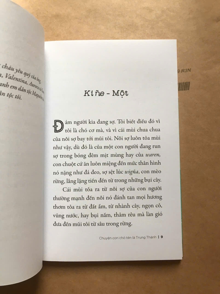 Chuyện Con Chó Tên Là Trung Thành