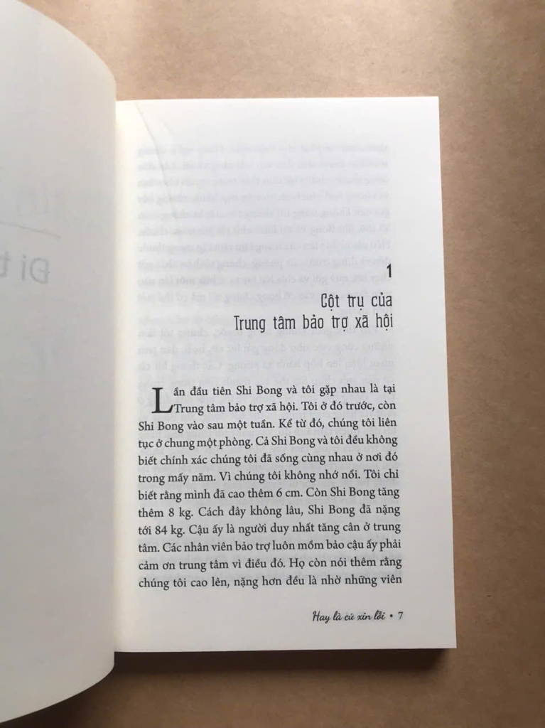 Hay Là Cứ Xin Lỗi