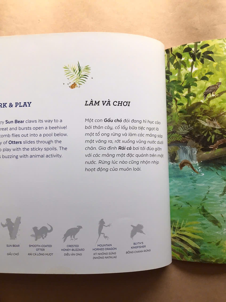 Các Loài Quý Hiếm Vùng Trường Sơn - Sự Sống Nơi Dãy Núi Hùng Vĩ Giữa Việt Nam Và Lào