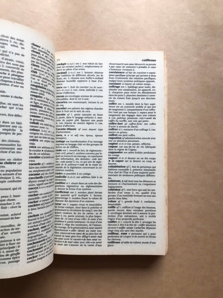 Larousse Dictionnaire Français