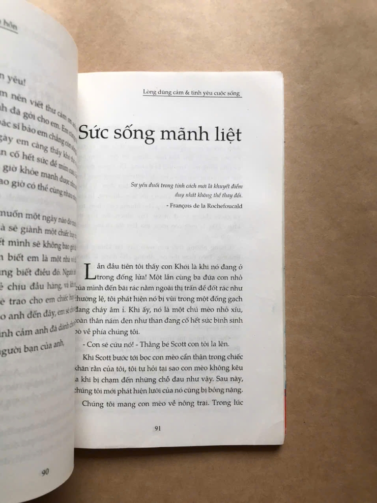 Hạt giống tâm hồn 1 - Cho lòng dũng cảm và tình yêu cuộc sống