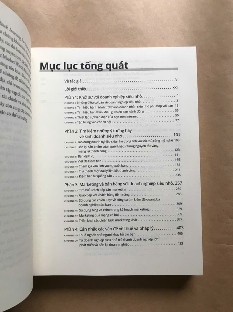 Doanh Nghiệp Siêu Nhỏ For Dummies