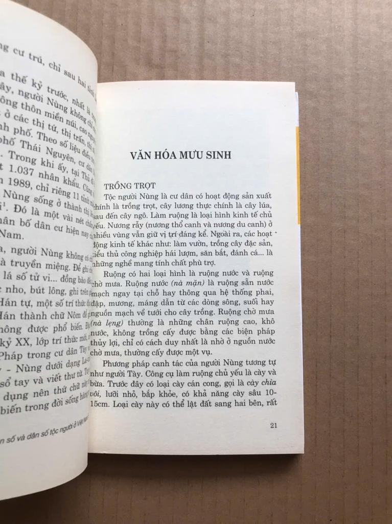 Văn Hóa Tộc Người Nùng
