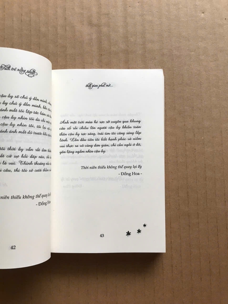 Tuổi Trẻ Nồng Nhiệt, Thời Gian Phai Mờ ( sách khổ nhỏ )