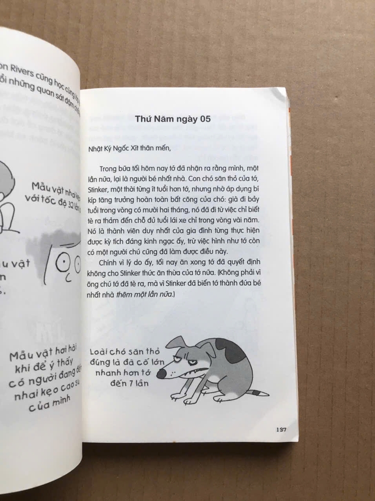 Nhật ký ngốc xít