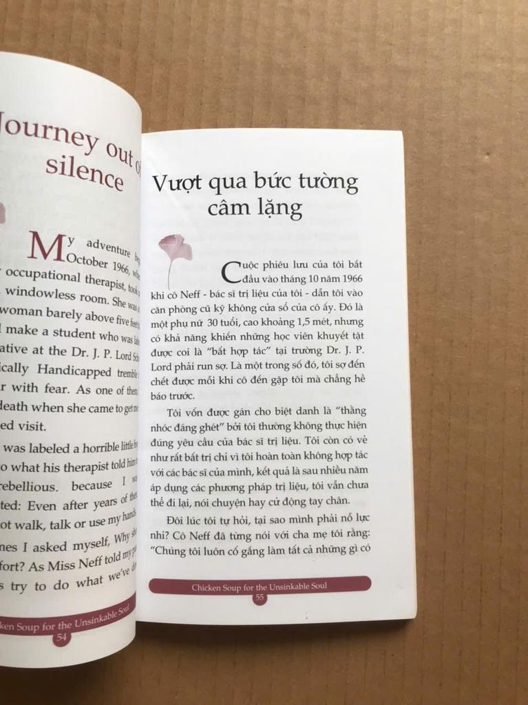 Chicken Soup For The Soul 5 - Dành Cho Những Tâm Hồn Không Bao Giờ Gục Ngã