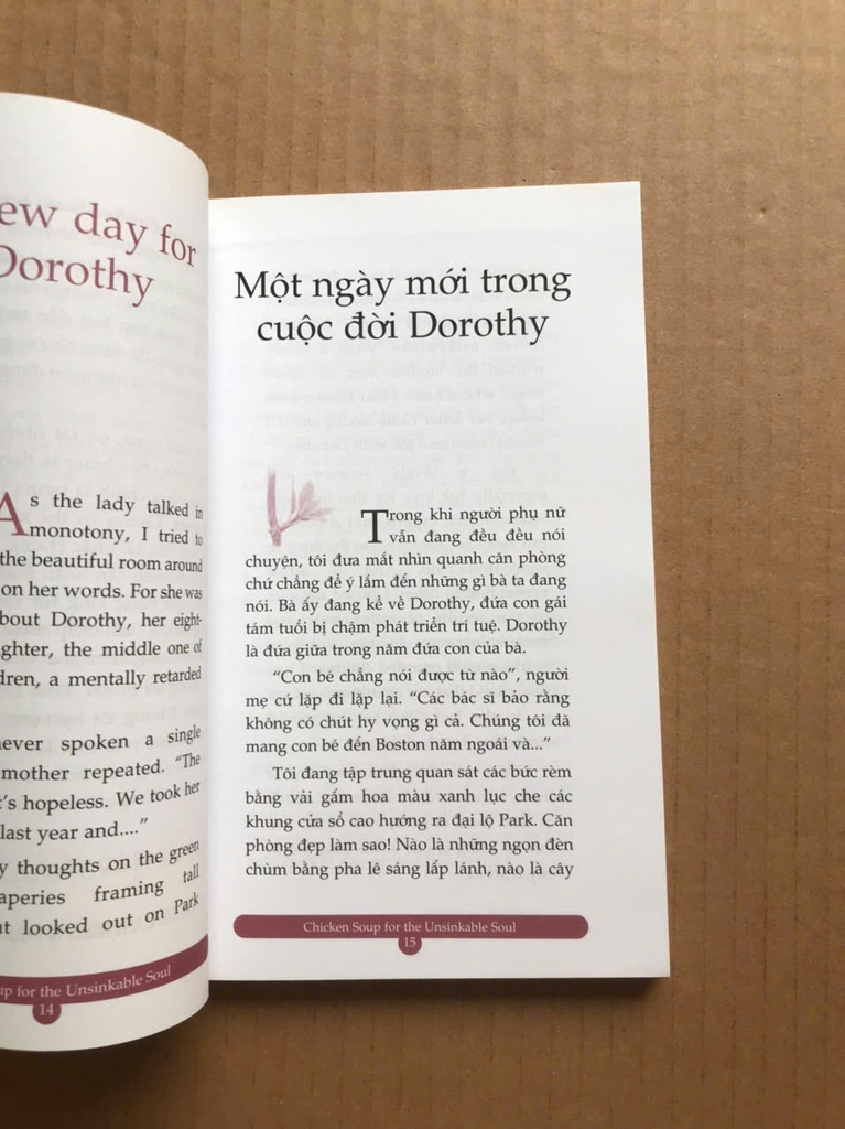Chicken Soup For The Soul 5 - Dành Cho Những Tâm Hồn Không Bao Giờ Gục Ngã