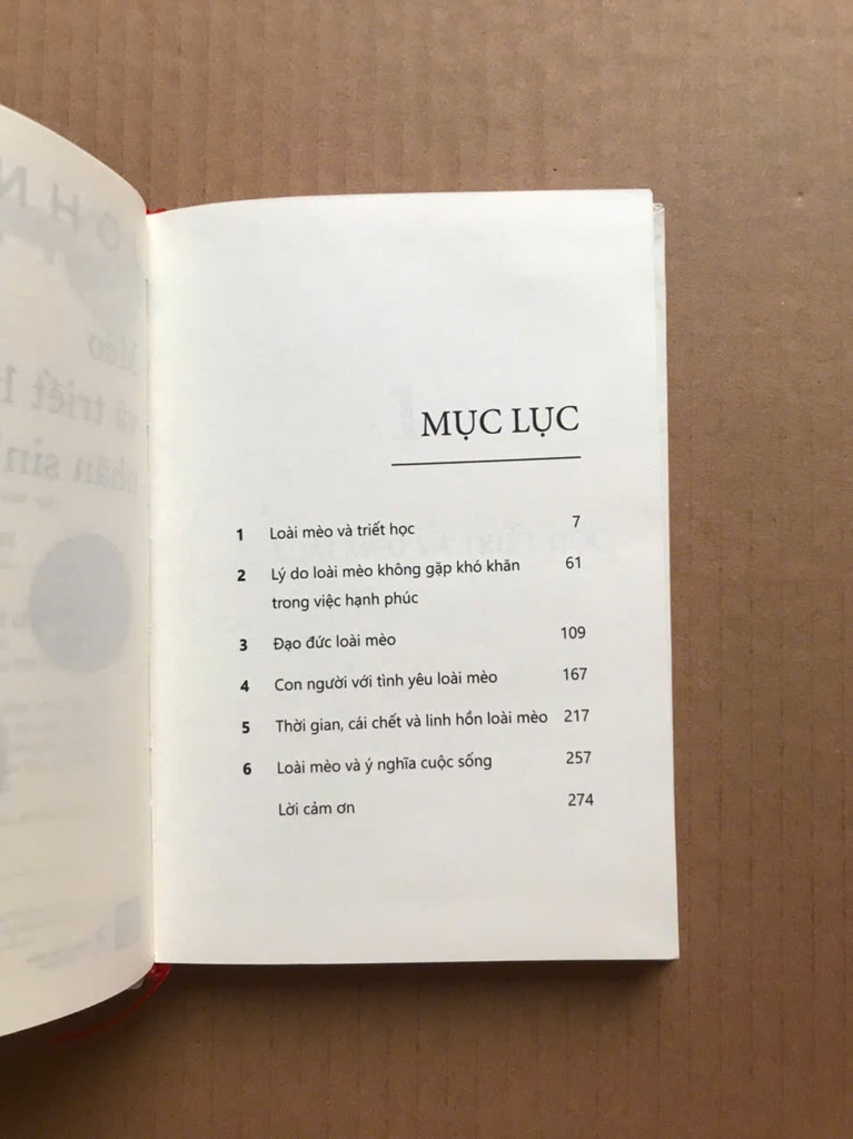 Mèo Và Triết Lý Nhân Sinh