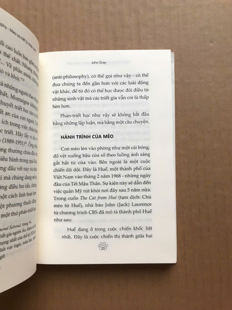 Mèo Và Triết Lý Nhân Sinh