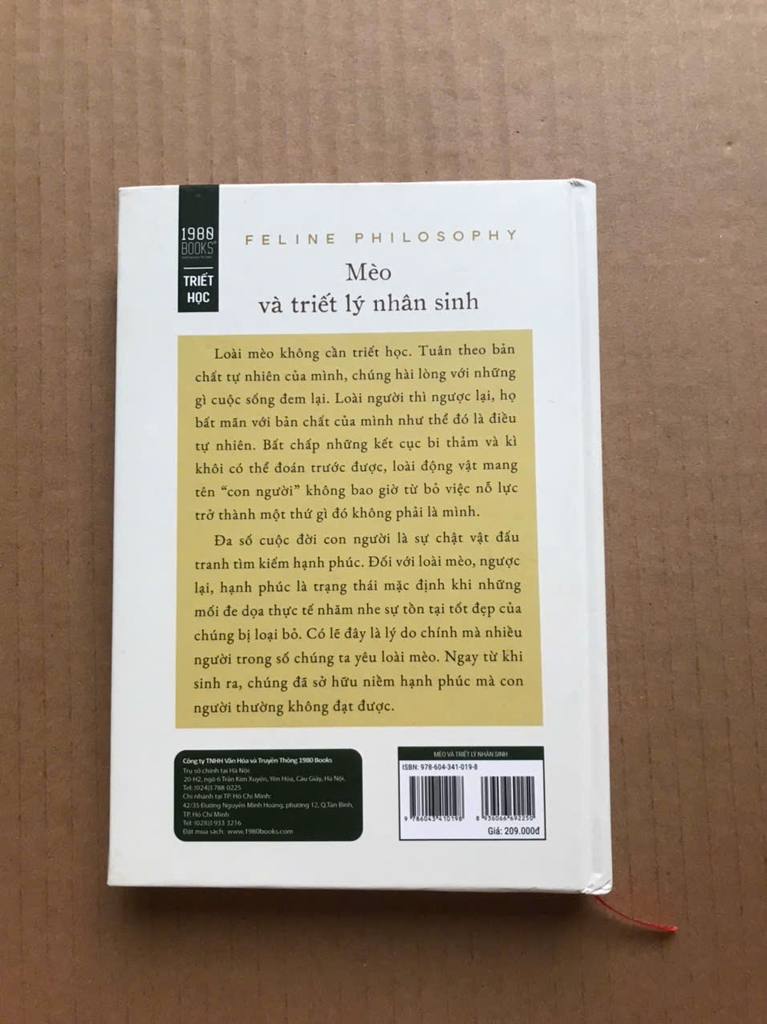 Mèo Và Triết Lý Nhân Sinh