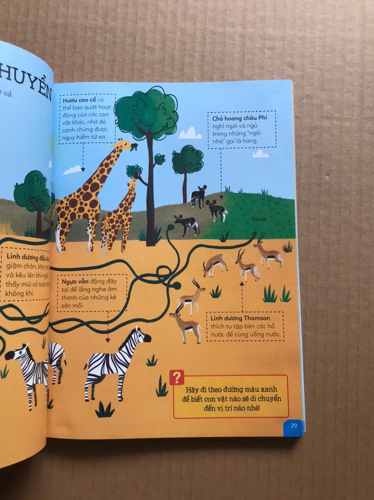 Động Vật Hoang Dã- Khám Phá Rừng Già