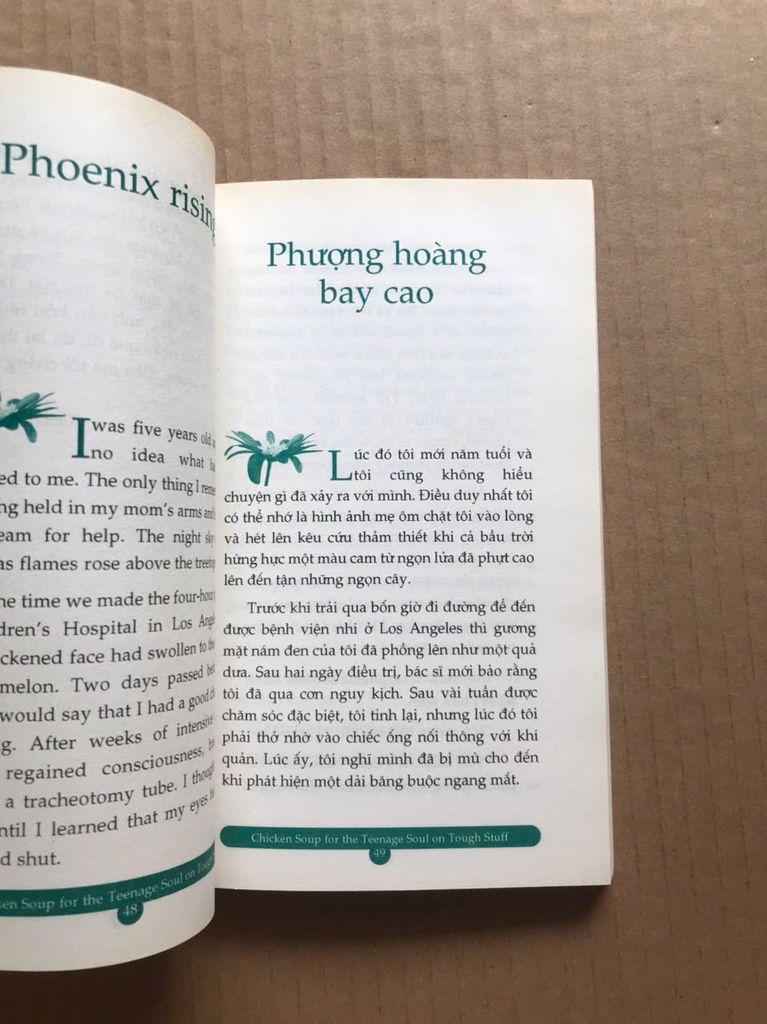 Chicken Soup For The Soul 11 - Vượt Qua Thử Thách Đầu Đời