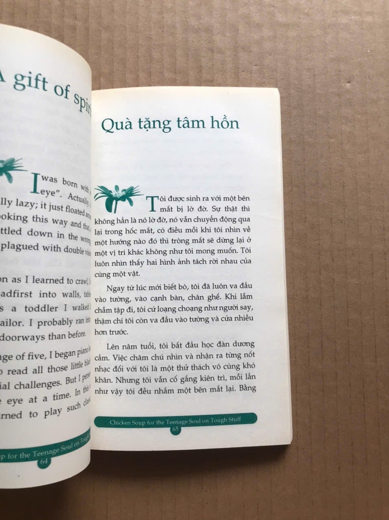 Chicken Soup For The Soul 11 - Vượt Qua Thử Thách Đầu Đời