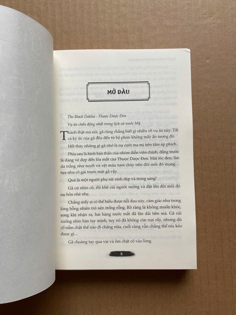 Người Thích Chuyên Án Hạn Định