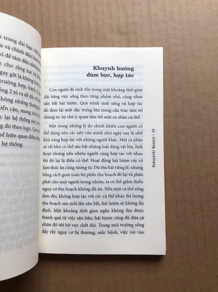 Tâm Lý Học Rủi Ro