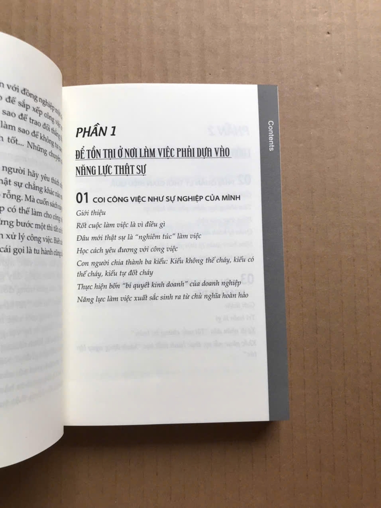 Học Cách Yêu Đương Với Công Việc