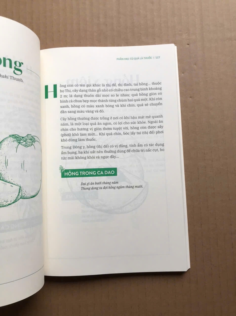 Cây Thuốc Quanh Em - Sức Mạnh Chữa Lành Từ Cây Cỏ