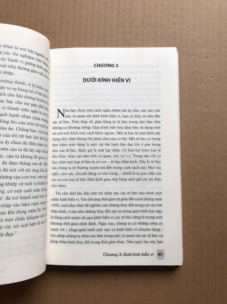 Não Bộ Tuổi Teen