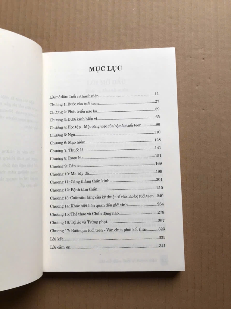 Não Bộ Tuổi Teen