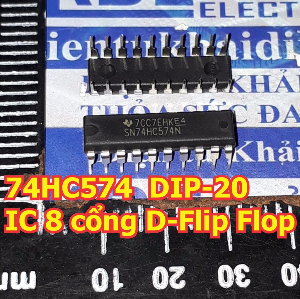 Đện tử Khải Định - Thỏa sức đam mê