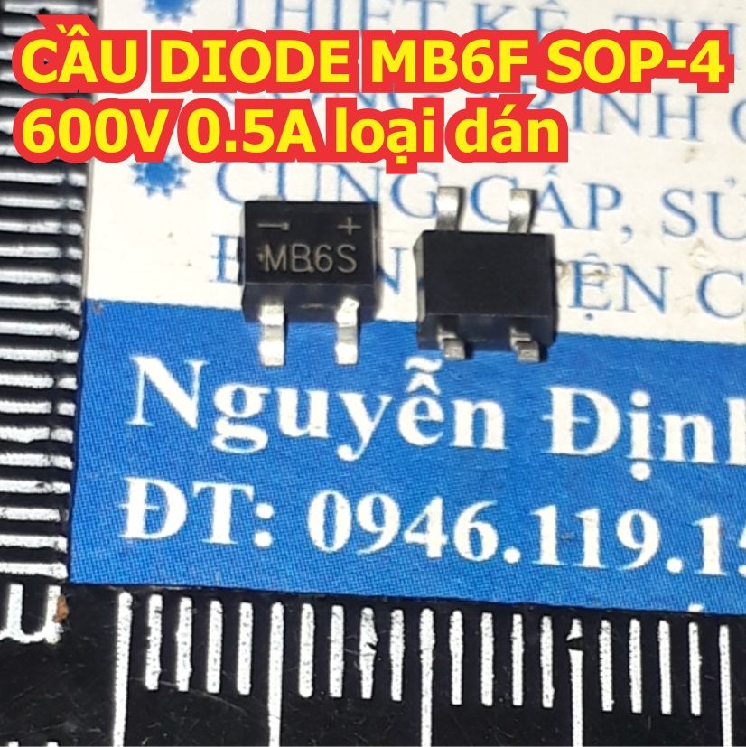 Đện tử Khải Định - Thỏa sức đam mê