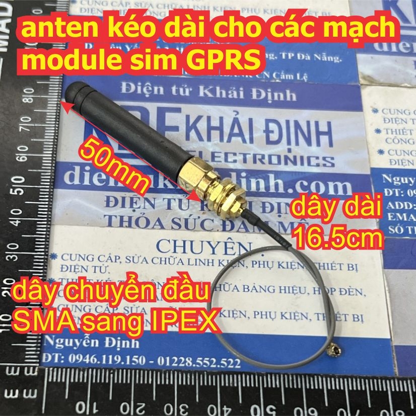 Đện tử Khải Định - Thỏa sức đam mê