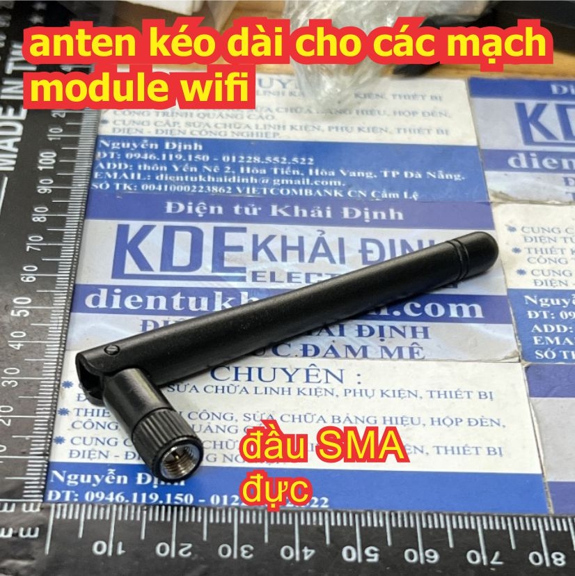 Đện tử Khải Định - Thỏa sức đam mê