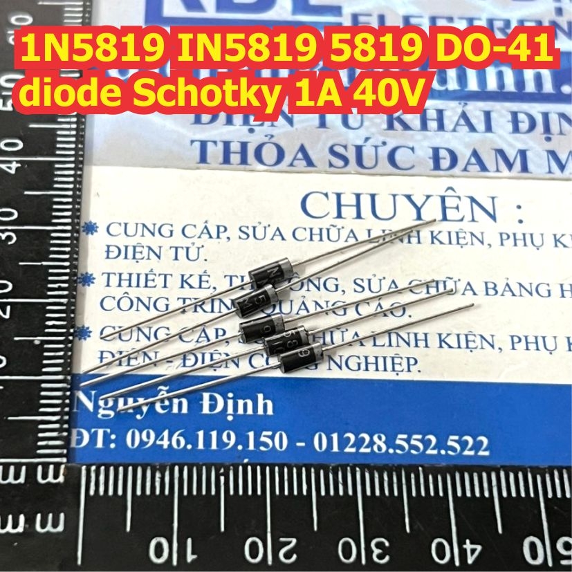 Đện tử Khải Định - Thỏa sức đam mê