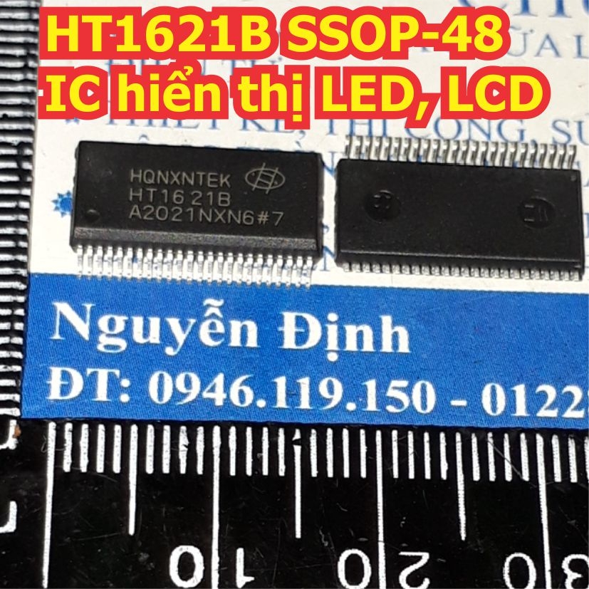 Đện tử Khải Định - Thỏa sức đam mê