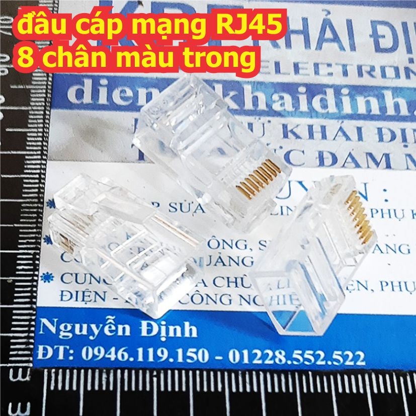 Đện tử Khải Định - Thỏa sức đam mê