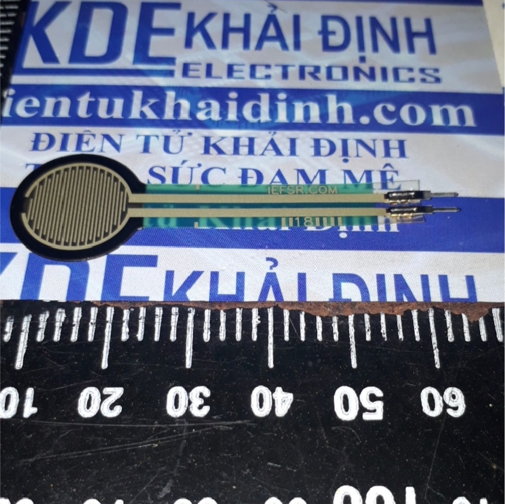 Đện tử Khải Định - Thỏa sức đam mê