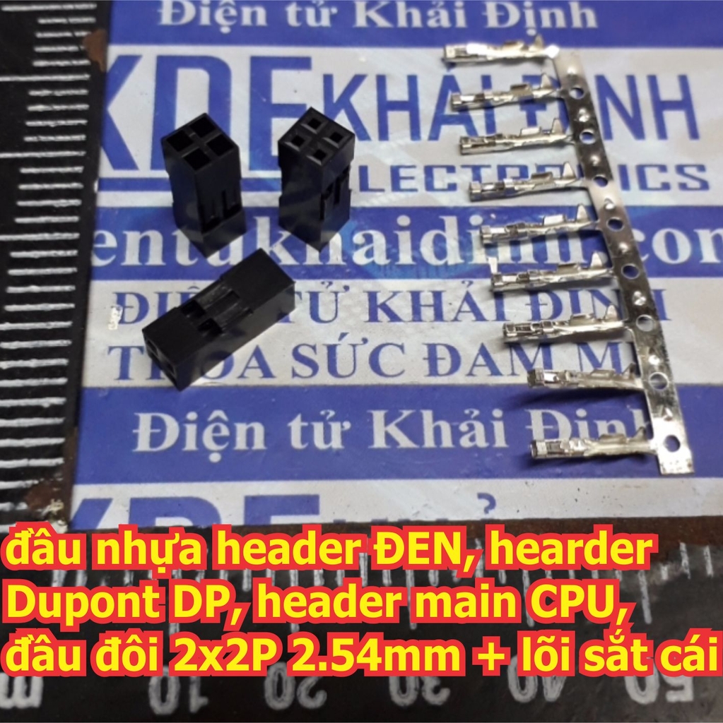 Đện tử Khải Định - Thỏa sức đam mê