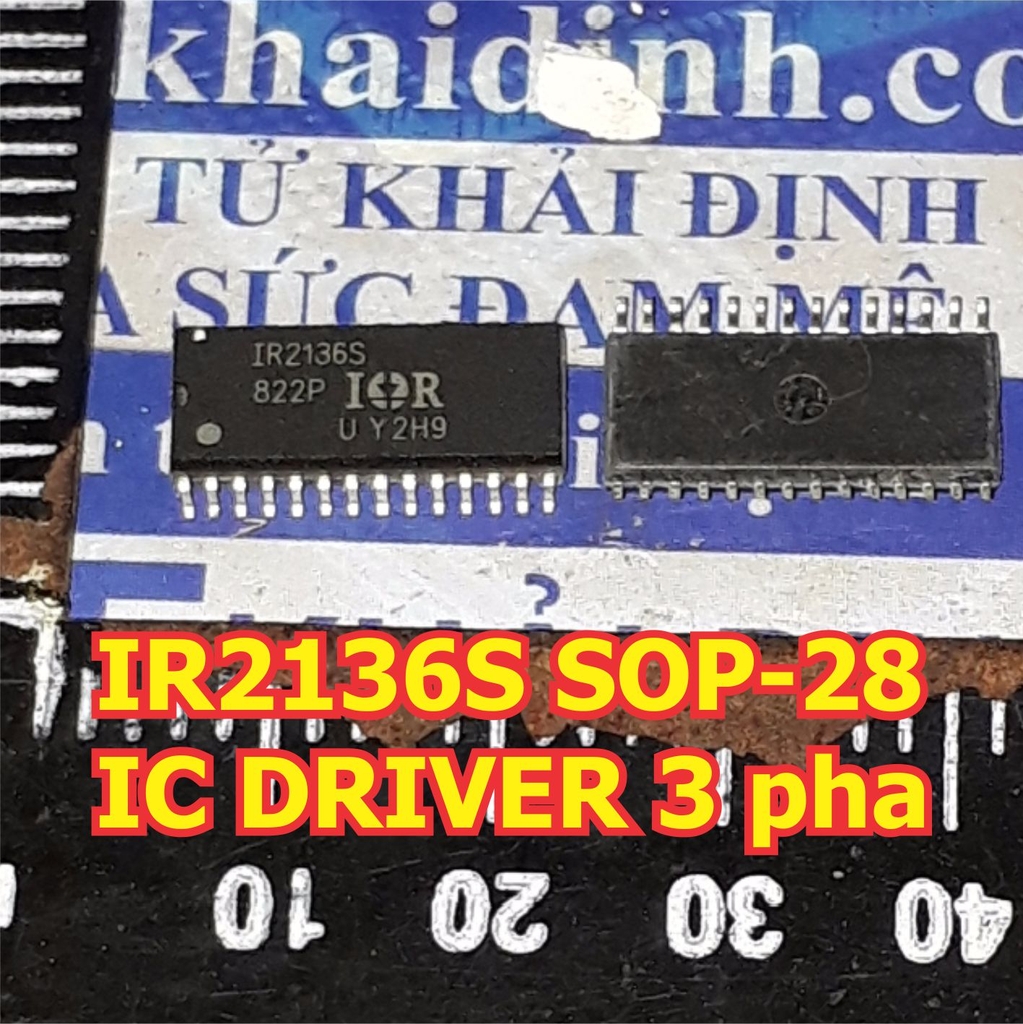 Đện tử Khải Định - Thỏa sức đam mê