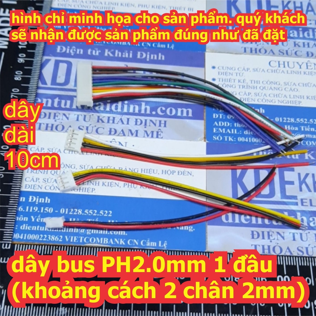 Đện tử Khải Định - Thỏa sức đam mê