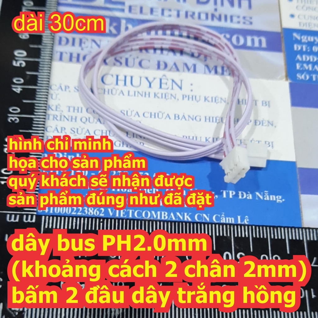 Đện tử Khải Định - Thỏa sức đam mê