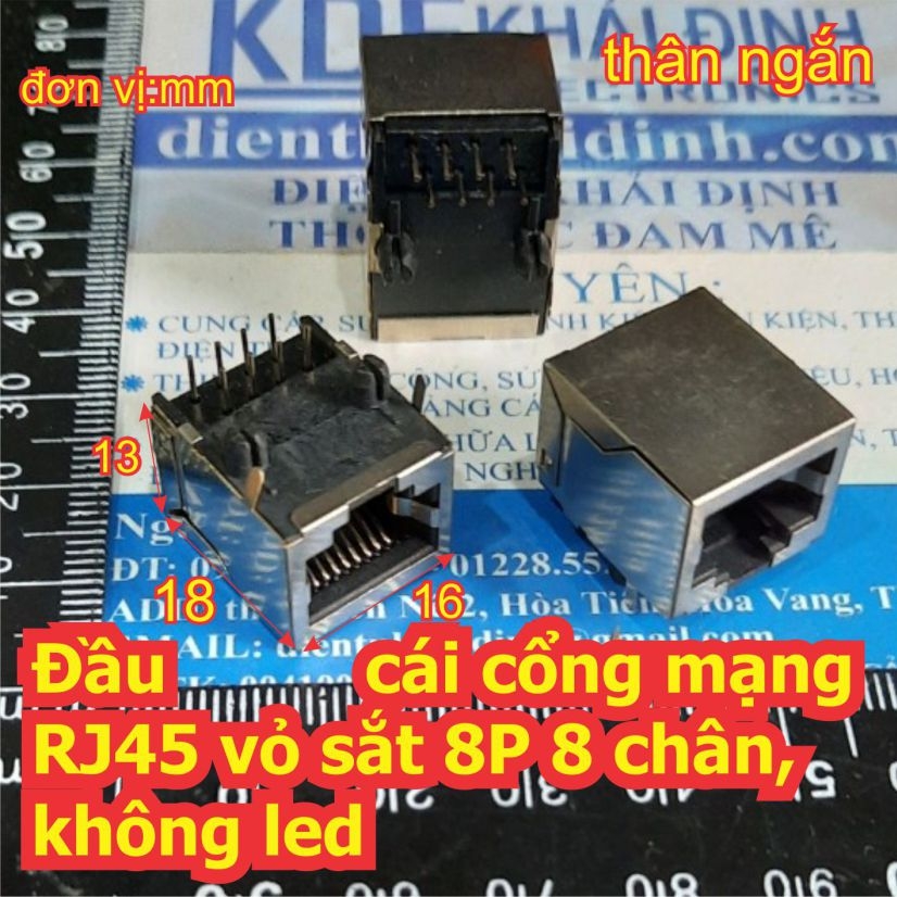 Đện tử Khải Định - Thỏa sức đam mê