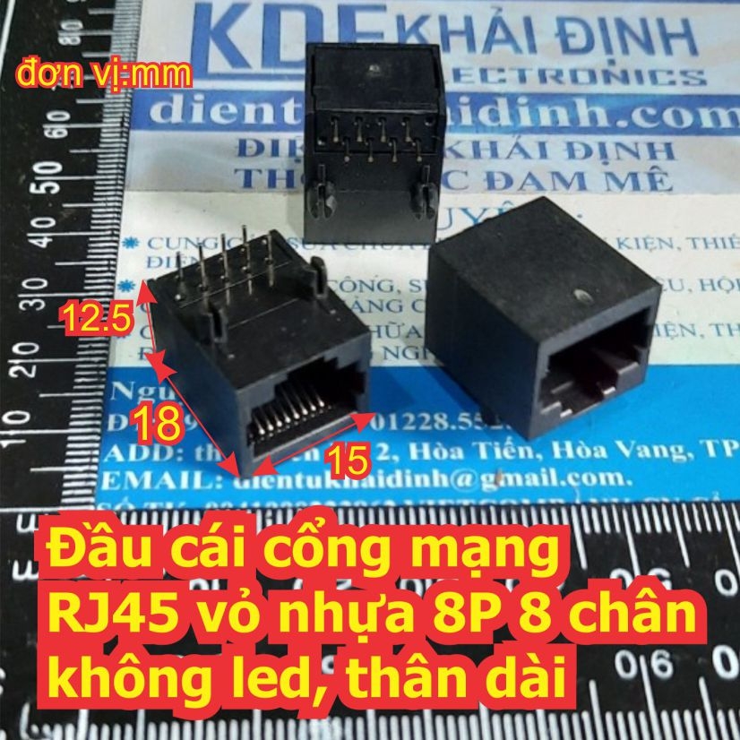 Đện tử Khải Định - Thỏa sức đam mê