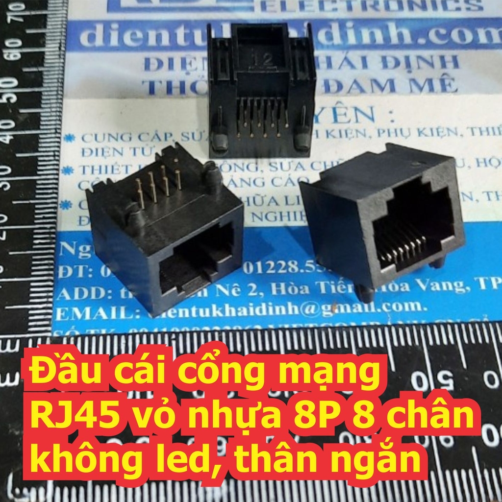 Đện tử Khải Định - Thỏa sức đam mê