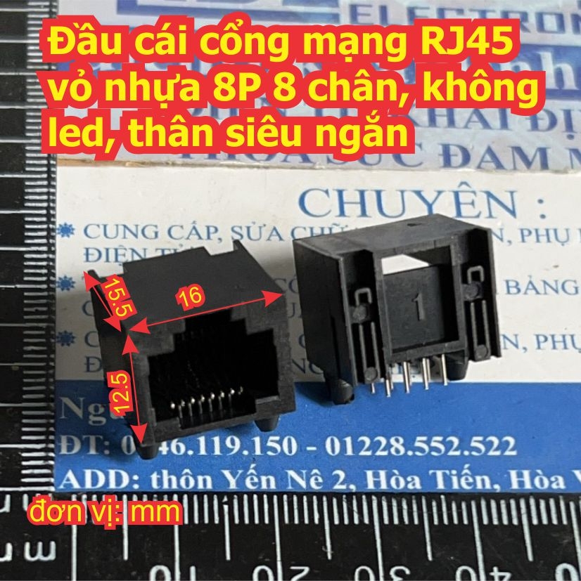 Đện tử Khải Định - Thỏa sức đam mê