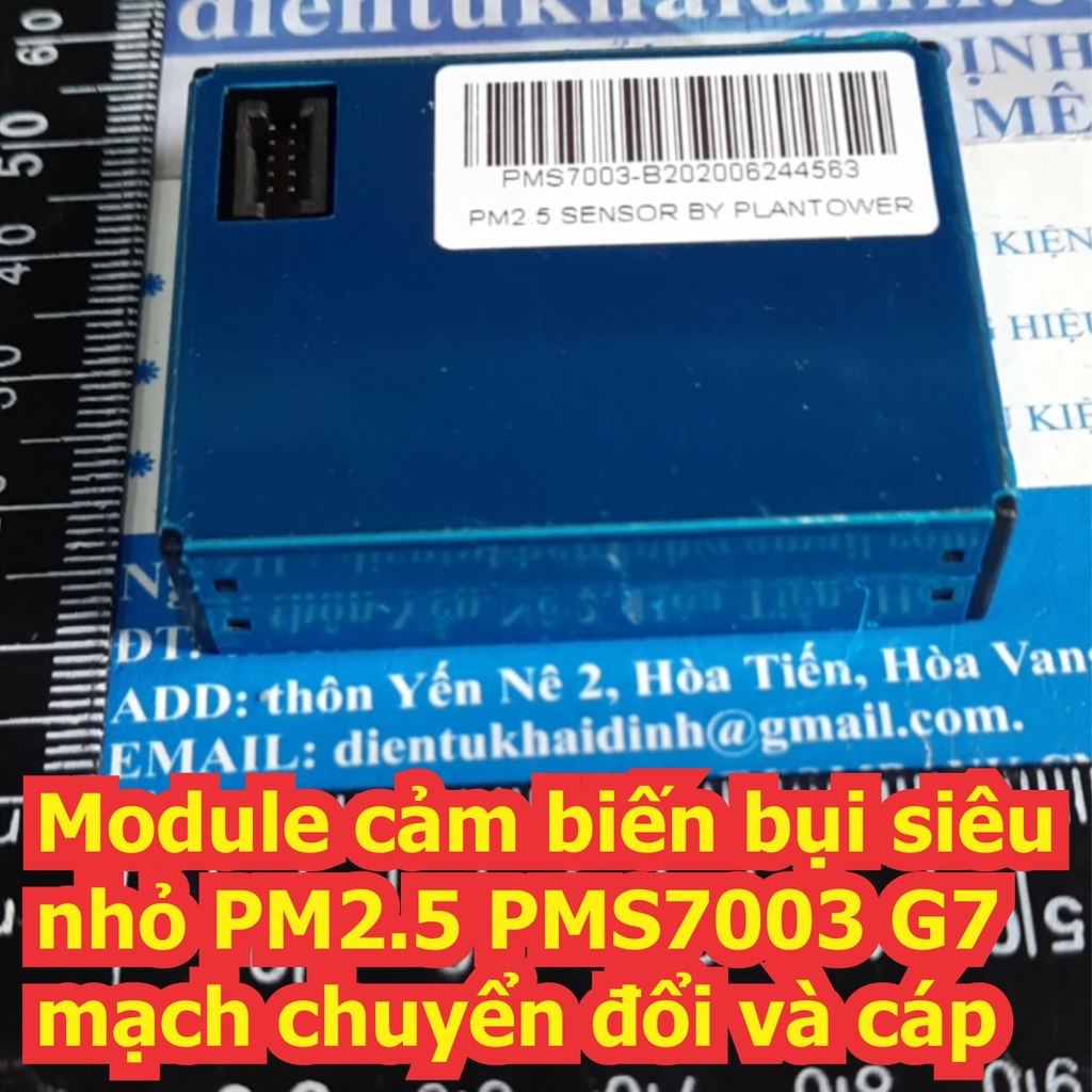 Đện tử Khải Định - Thỏa sức đam mê