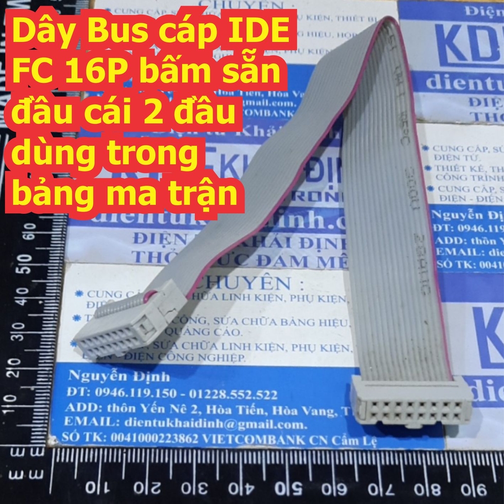 Đện tử Khải Định - Thỏa sức đam mê