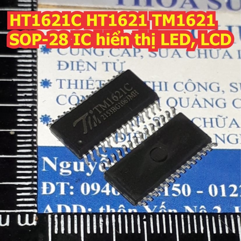 Đện tử Khải Định - Thỏa sức đam mê
