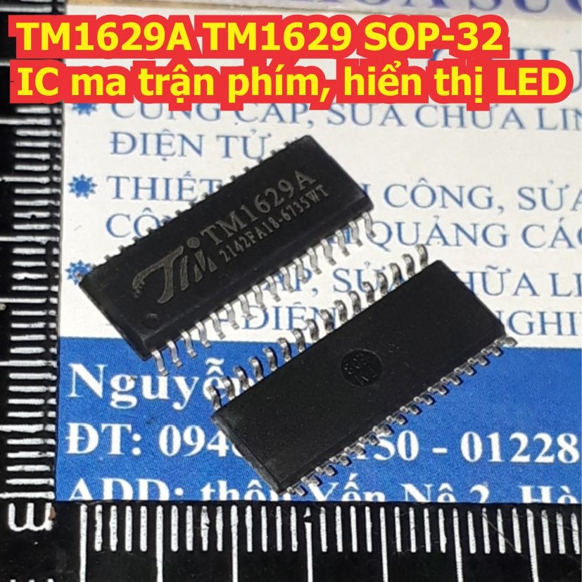 Đện tử Khải Định - Thỏa sức đam mê