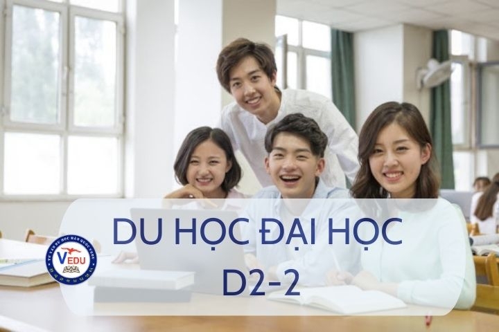 Du học hệ Đại học tại Hàn Quốc (visa D2-2)