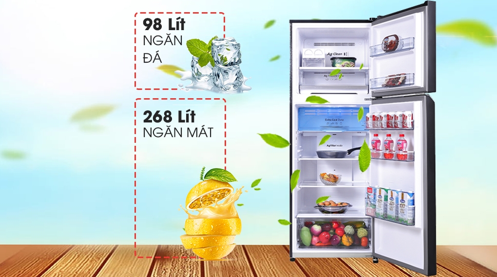 Tủ Lạnh Panasonic 2 Cánh 366 Lít NR-TL381VGMV