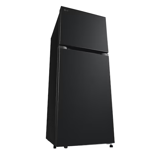 Tủ lạnh LG LTB21BLMI Inverter 217 lít giá rẻ - Chính hãng