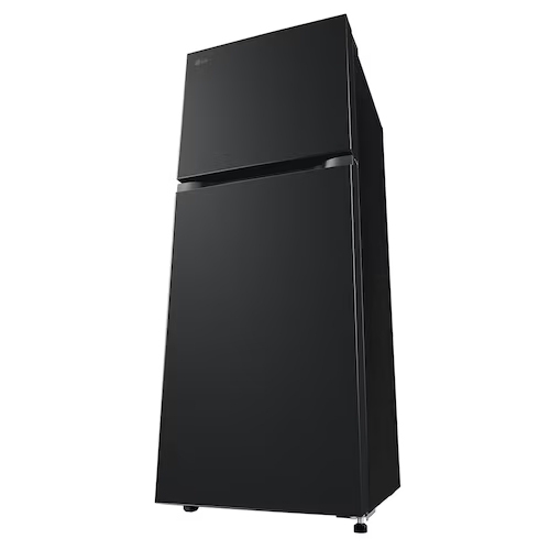 Tủ lạnh LG LTB21BLMI Inverter 217 lít giá rẻ - Chính hãng