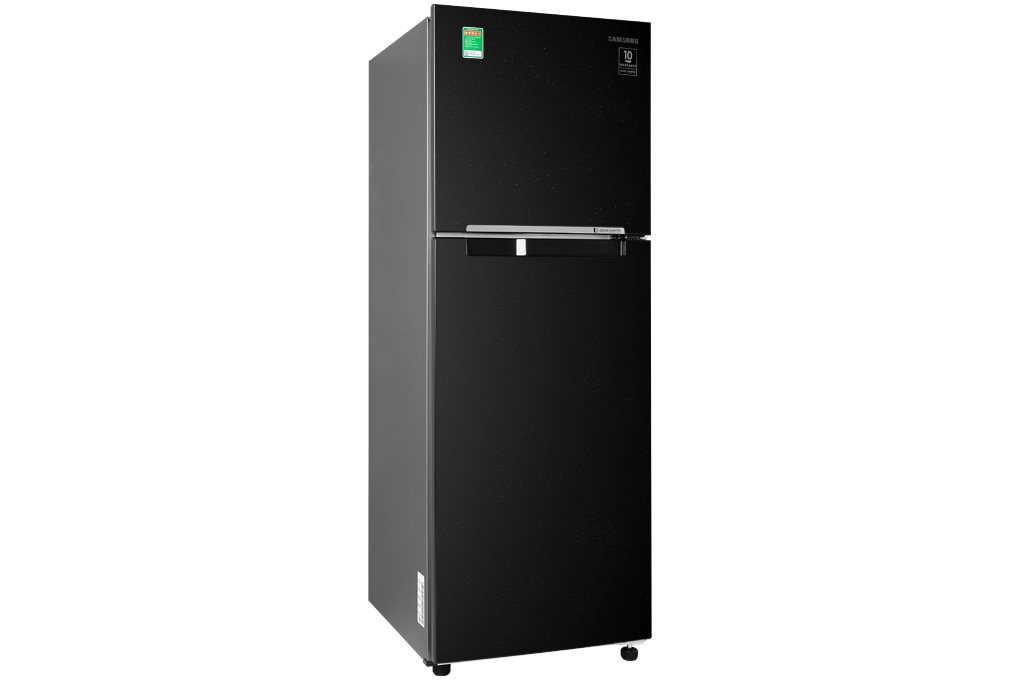 Tủ lạnh Samsung Inverter 236 lít RT22M4032BU/SV - Chính hãng