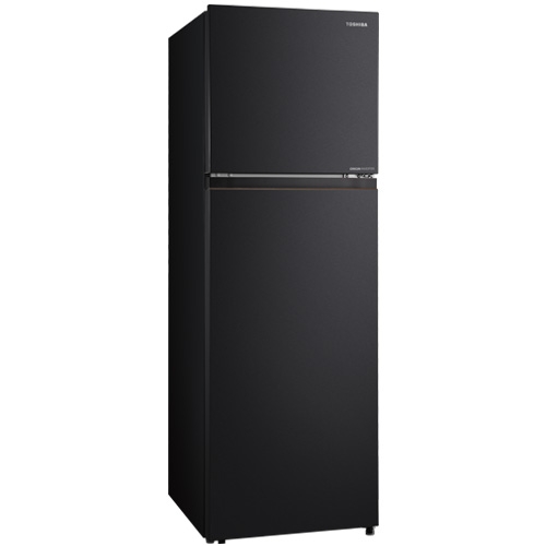 Tủ lạnh Toshiba GR-RT349WE-PMV(68) Inverter 271 lít 2 cánh - Mới 2026