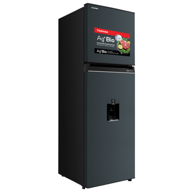 Tủ Lạnh Toshiba Inverter 249 Lít GR-RT325WE-PMV(06)-MG
